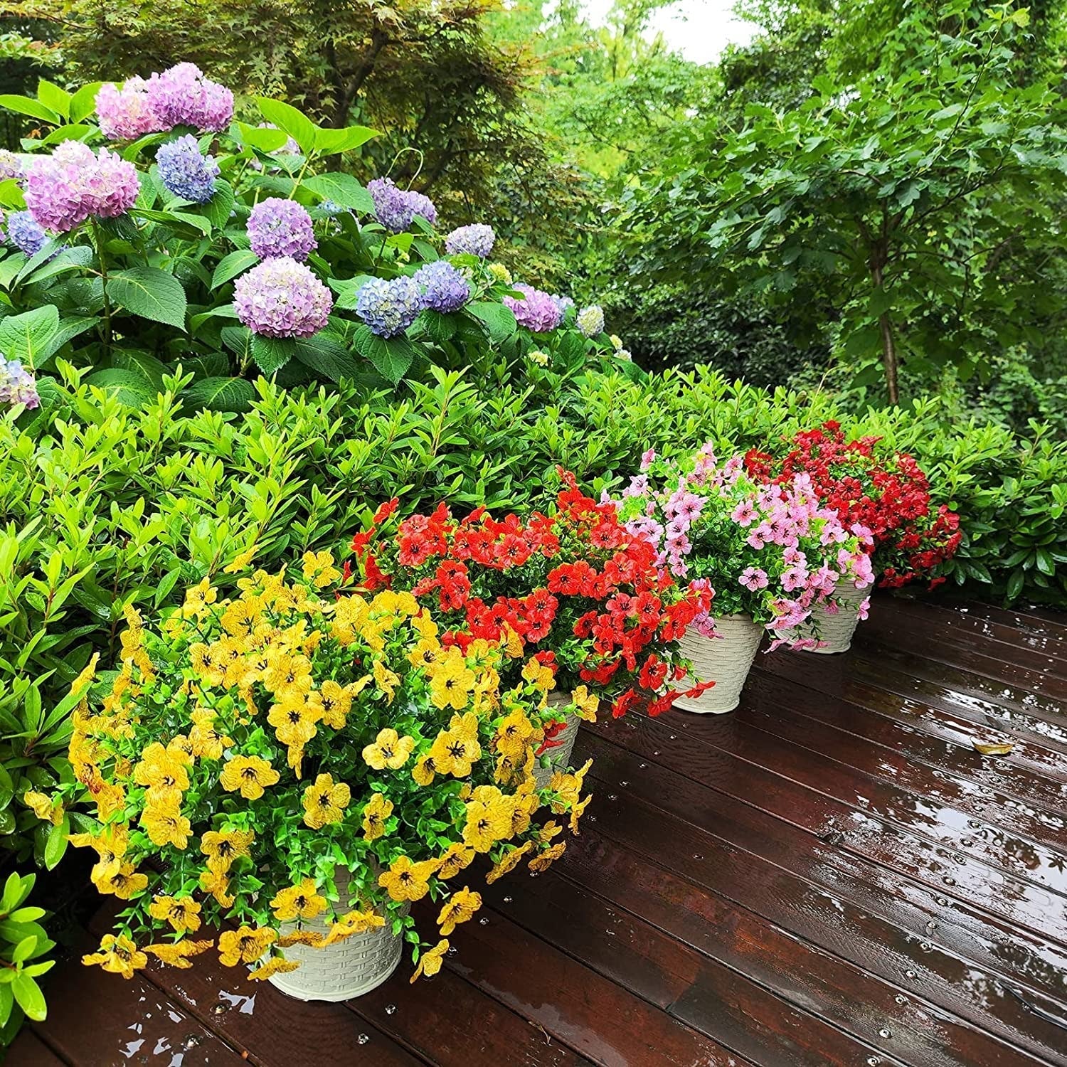 AutumnGlow Mums - A Perfect Fall Porch, Guaranteed + 50% OFF - Image 5