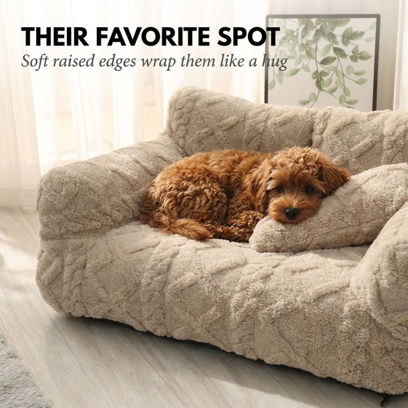 Cosset™ – Plush Raised-Edge Orthopedic Pet Sofa with Washable Cover + 50% OFF - Image 2