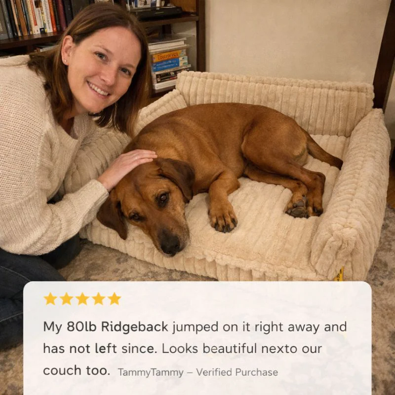 Embernest™ – Washable Orthopedic Sofa Dog Bed with Removable Pillow Cover + 50% OFF - Image 6