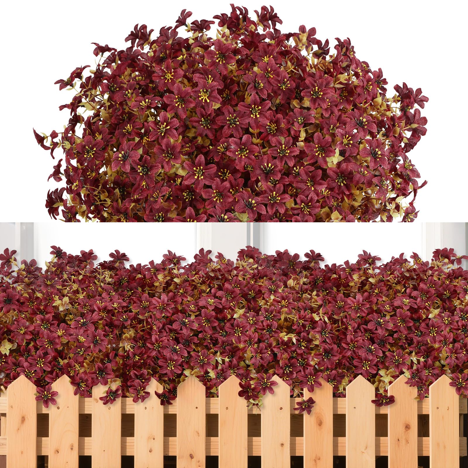 Everlasting Bellflowers - A Perfect Garden, Guaranteed + 50% OFF - Image 9