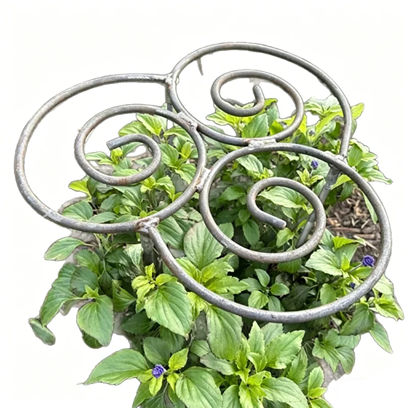 Filigra™ – Heavy-Duty Iron Scroll Peony & Flower Support Frame + 50% OFF - Image 5