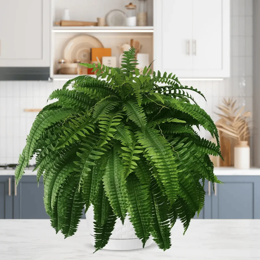 Forever Fresh Fern – Lush Greenery That Lasts Forever - 60% OFF - Image 10