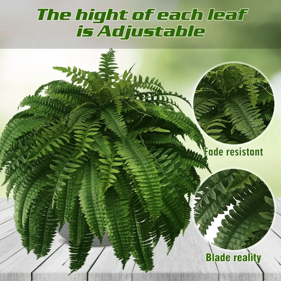 Forever Fresh Fern – Lush Greenery That Lasts Forever - 60% OFF - Image 3
