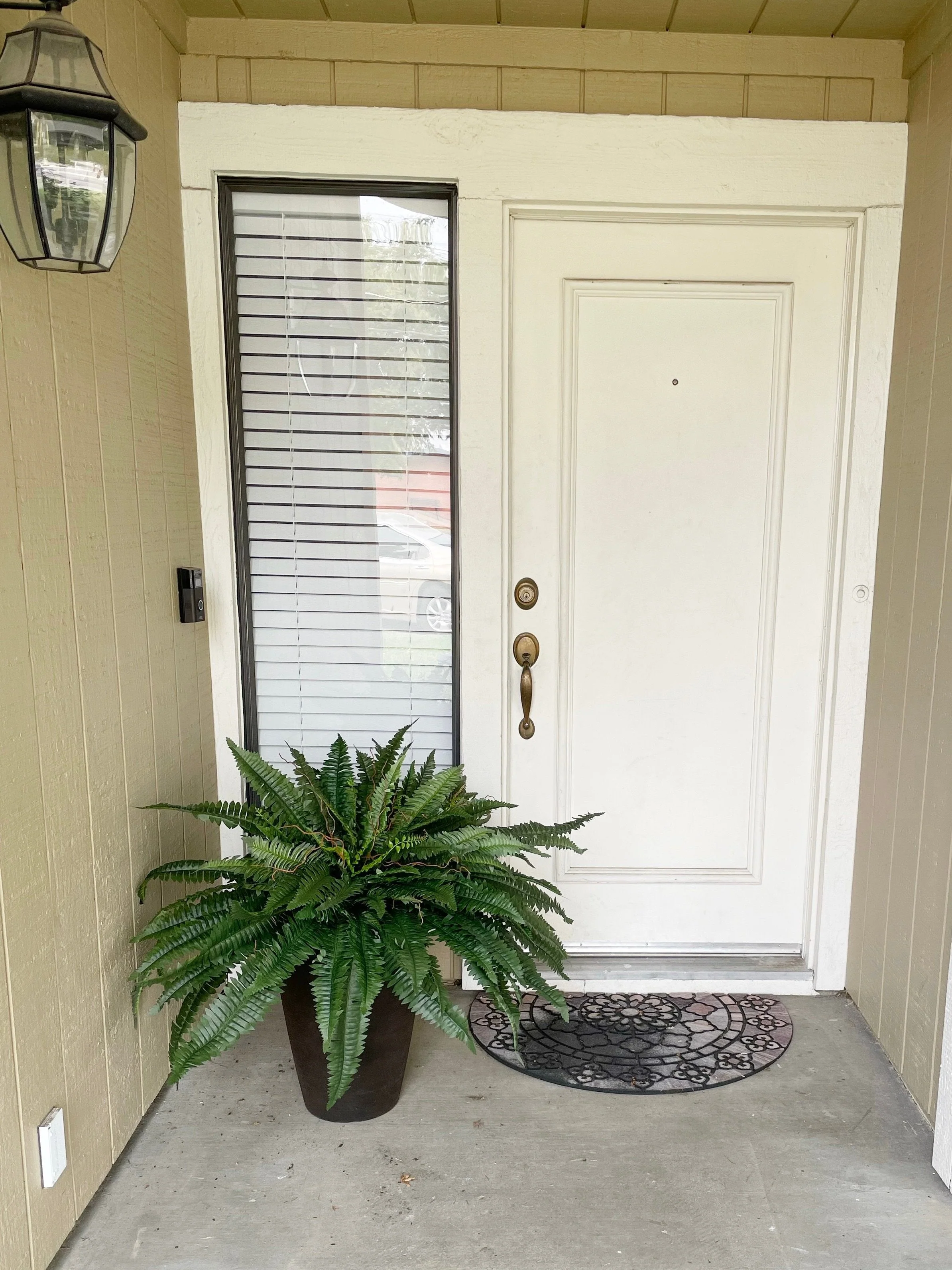 Forever Fresh Fern – Lush Greenery That Lasts Forever - 60% OFF - Image 6