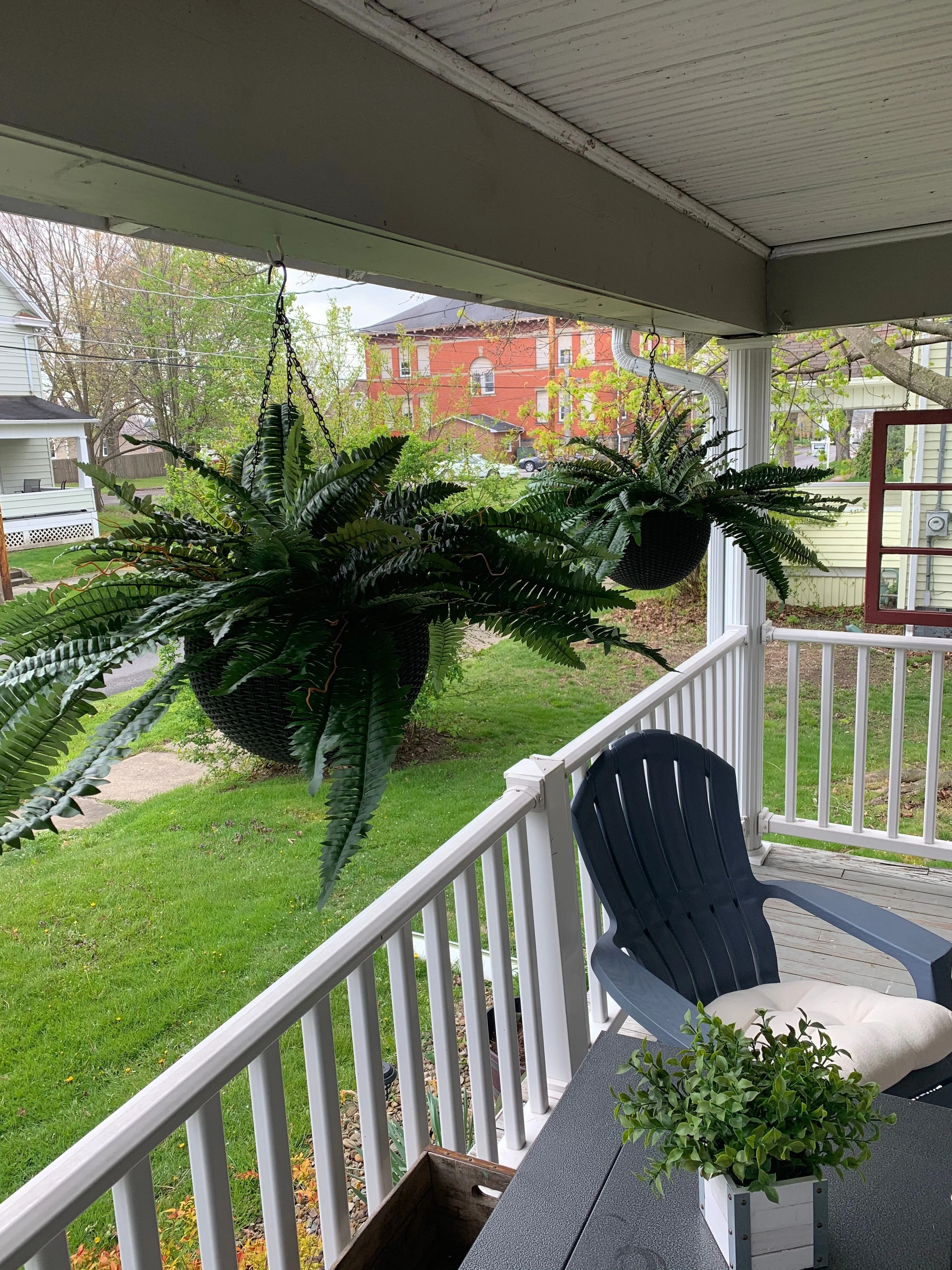 Forever Fresh Fern – Lush Greenery That Lasts Forever - 60% OFF - Image 7