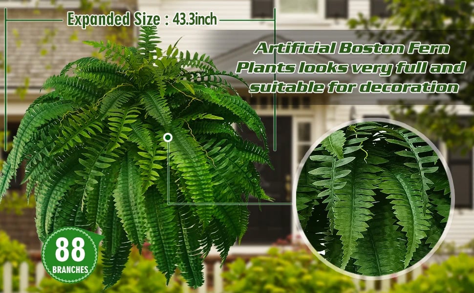 Forever Fresh Fern – Lush Greenery That Lasts Forever - 60% OFF - Image 8