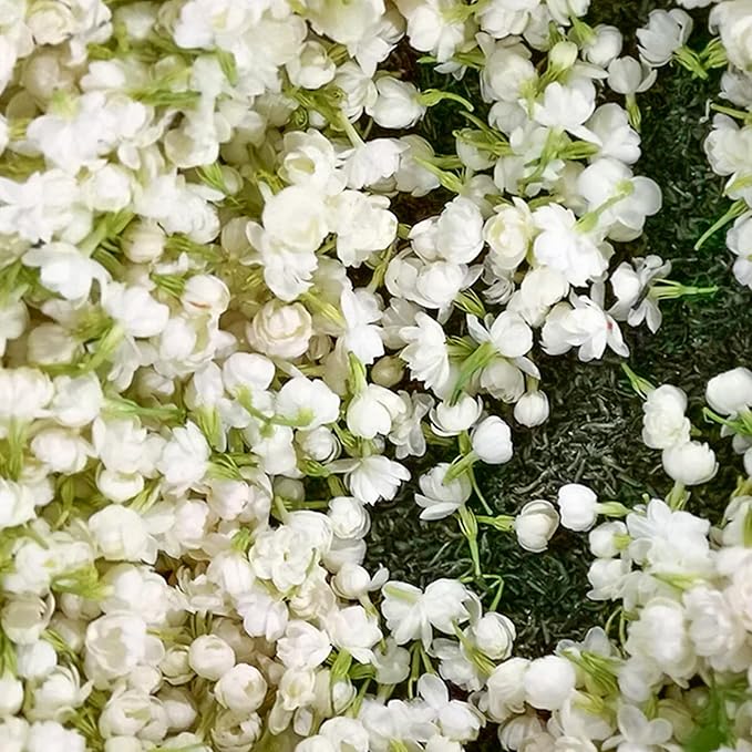 JasmineGlow – Bring Spring Indoors Instantly + 50% OFF - Image 10