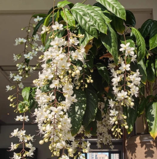 JasmineGlow – Bring Spring Indoors Instantly + 50% OFF - Image 13