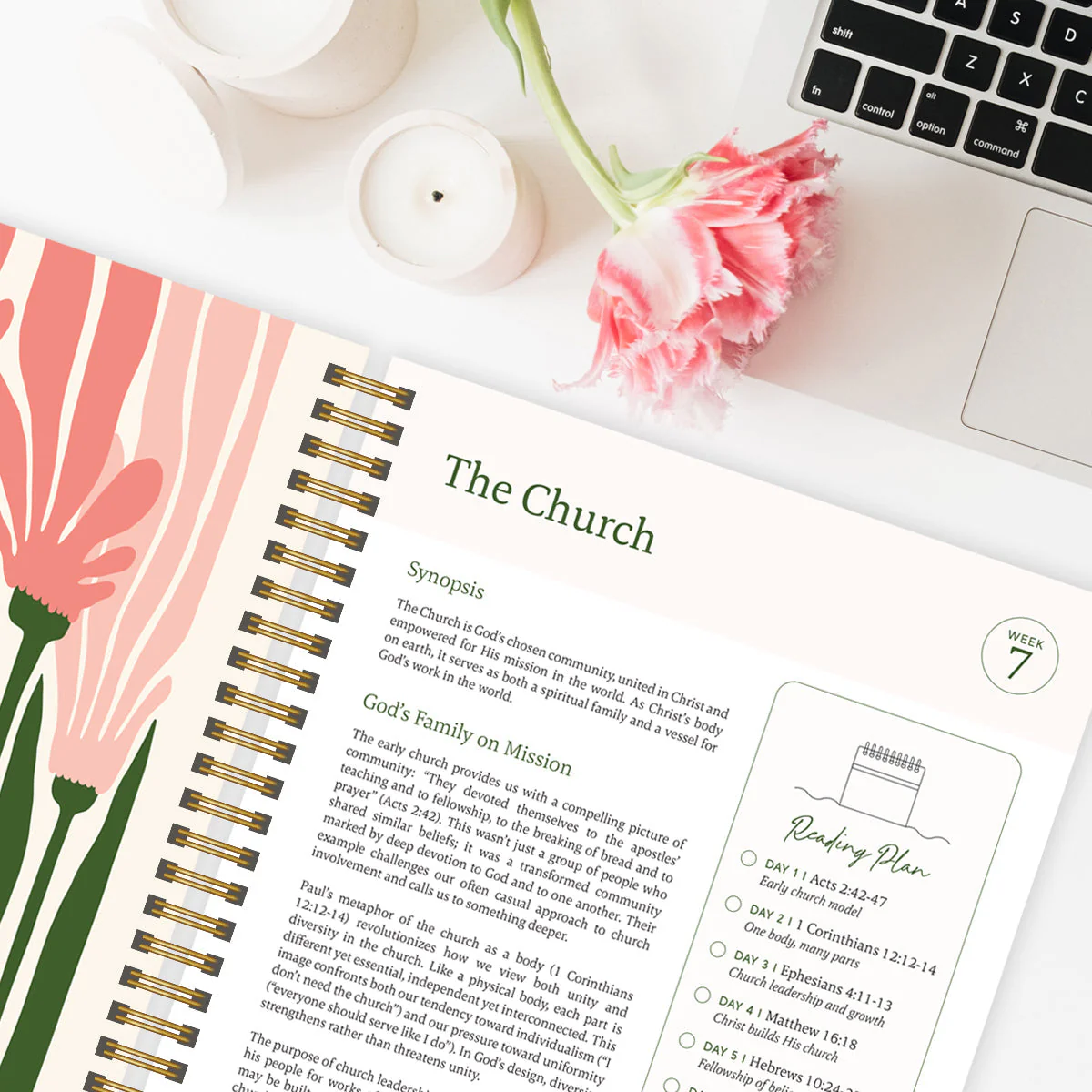 The 52-Week Bible Journey - Deepen Your Faith, Without Getting Lost + 50% OFF - Image 2