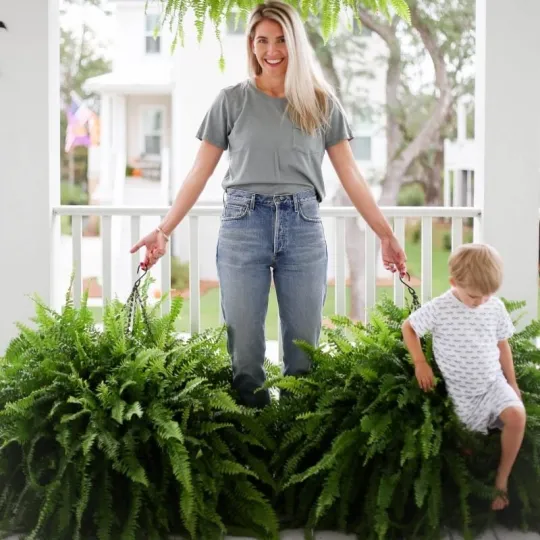 The AuraFern Realistic Boston Fern — Lush, Maintenance-Free Greenery 50% OFF - Image 2
