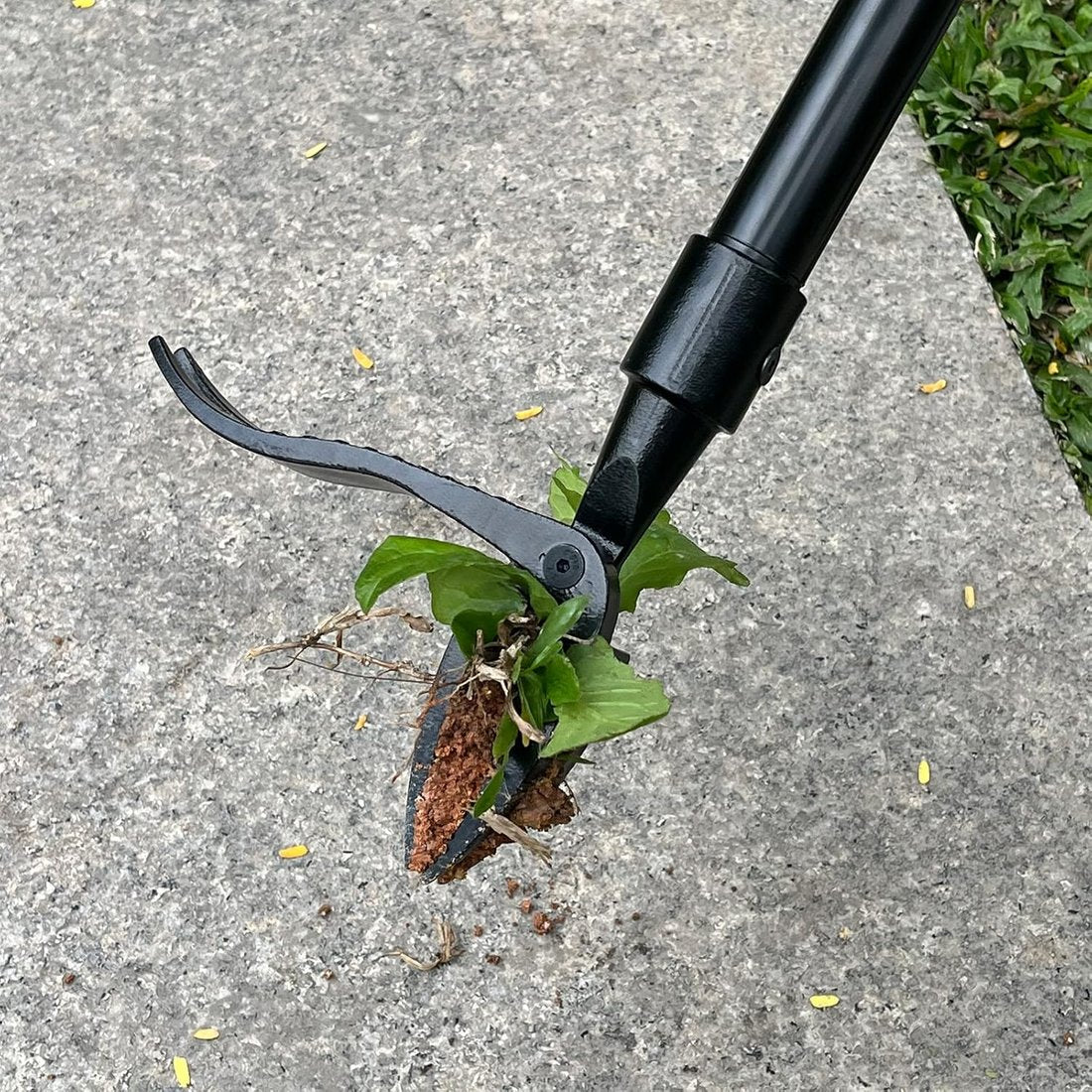 The AuraRoot Weed Puller — Effortless Weeding Without the Backache + 50% OFF - Image 11