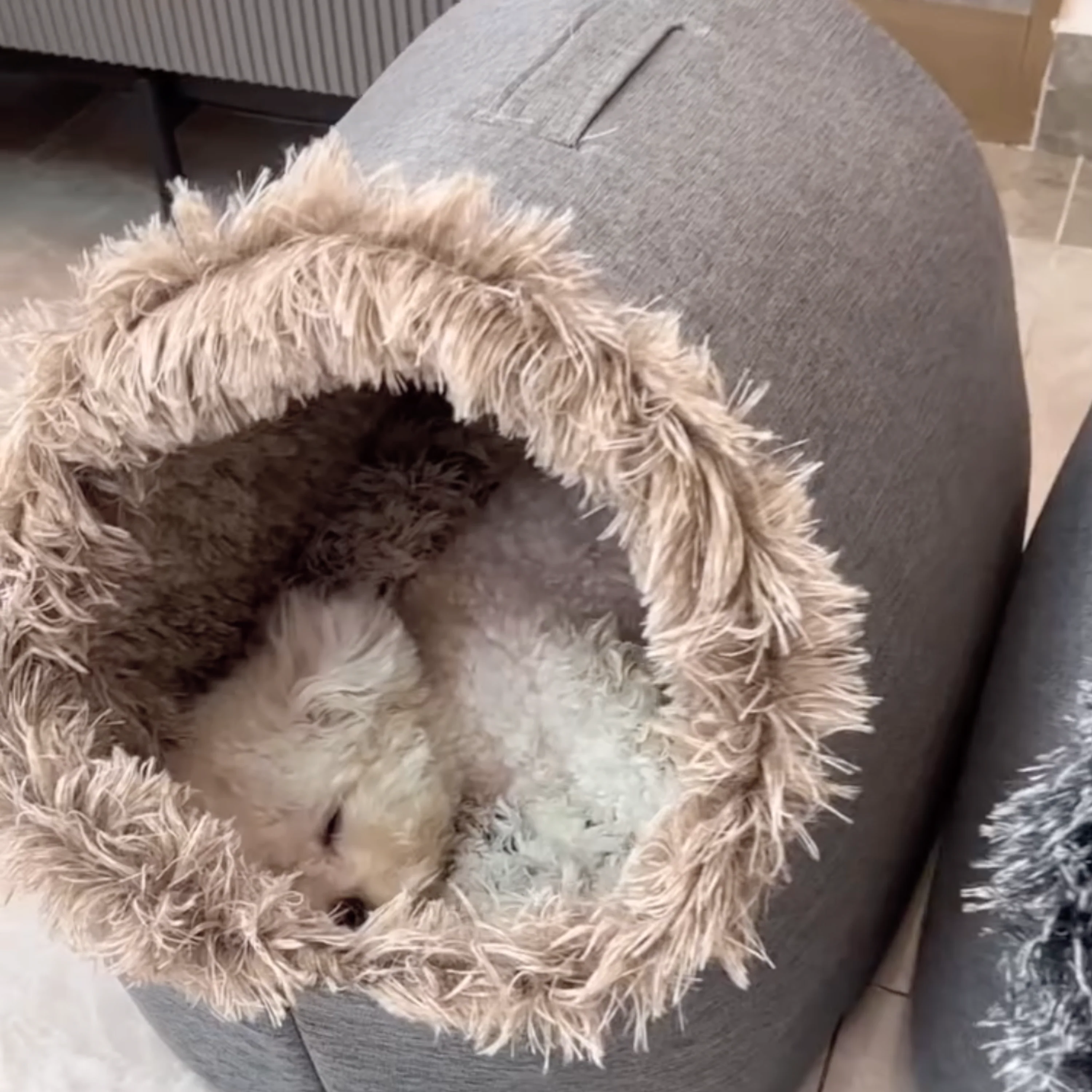 The CozyCave Pet Nest - The Viral Spot for Deep Sleep + 50% OFF - Image 7