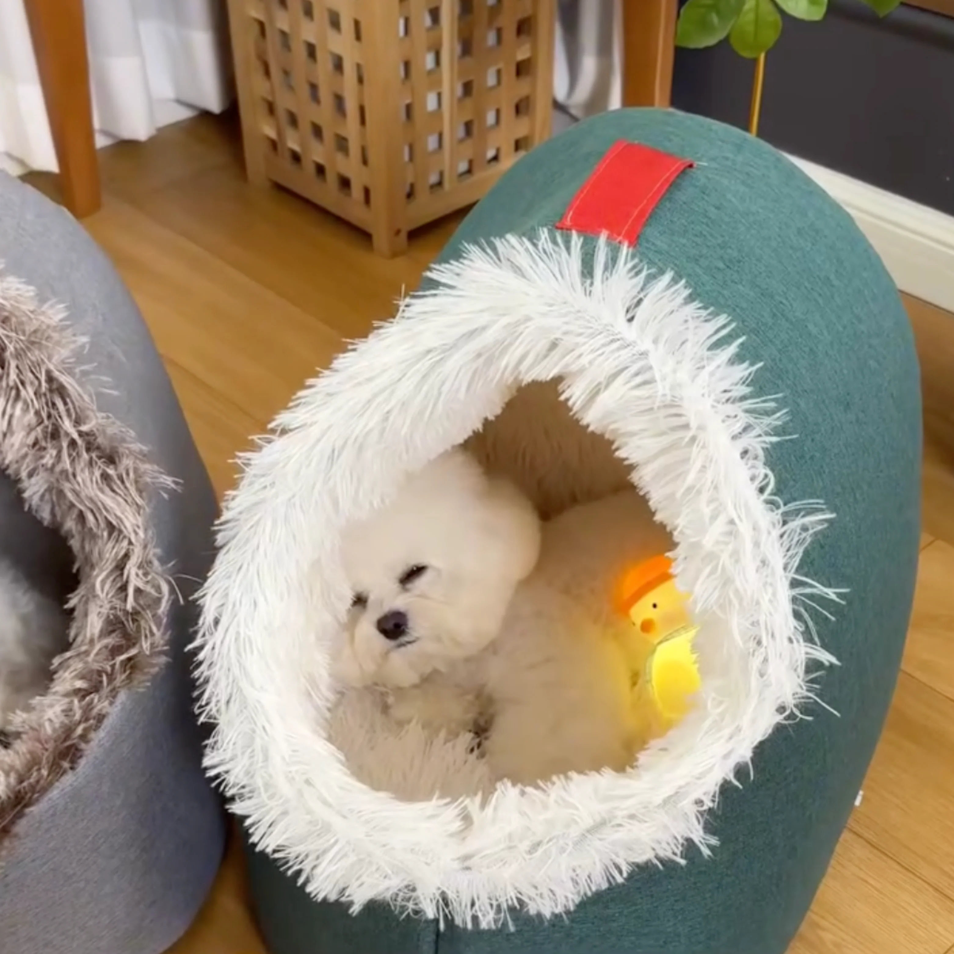The CozyCave Pet Nest - The Viral Spot for Deep Sleep + 50% OFF - Image 9