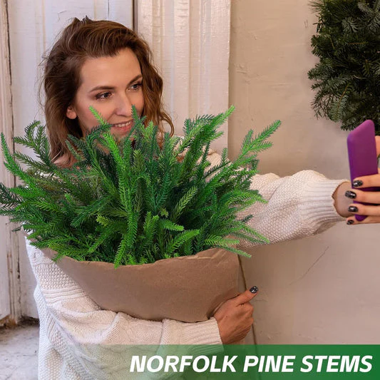 The Deluxe Norfolk Pine Garland - A Designer Look, Effortlessly + 50% OFF - Image 17