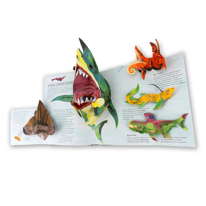 THE DINOSAUR MIND-IGNITER: UNLEASH GENIUS, IGNITE MEMORY + 50% OFF - Image 12