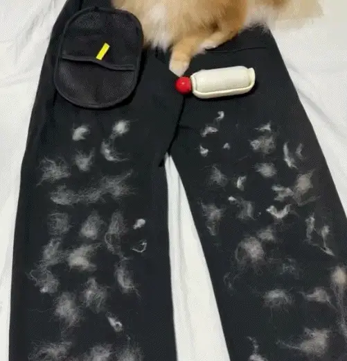 The FurGrip Grooming Gloves - Pet Hair Off in One Swipe +  1+1 FREE - Image 2