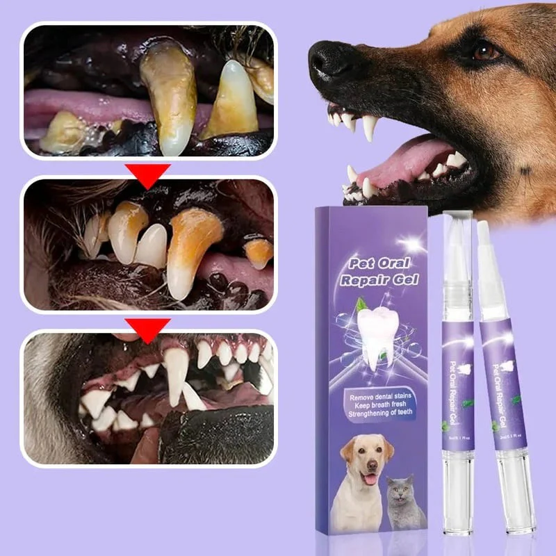 The Paw-Pure Oral Gel - A Vet-Clean Smile, No Brushing + 50% OFF - Image 3
