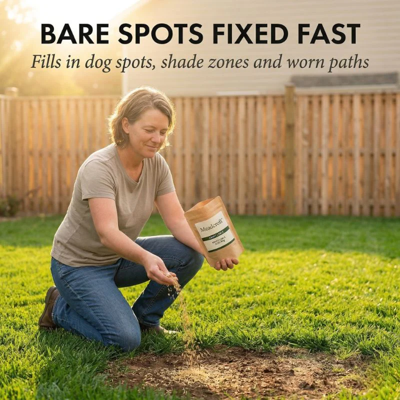 Tillage™ – Four-Season Evergreen, No-Mow, Pet-Friendly Lawn Grass Seeds + 50% OFF - Image 2