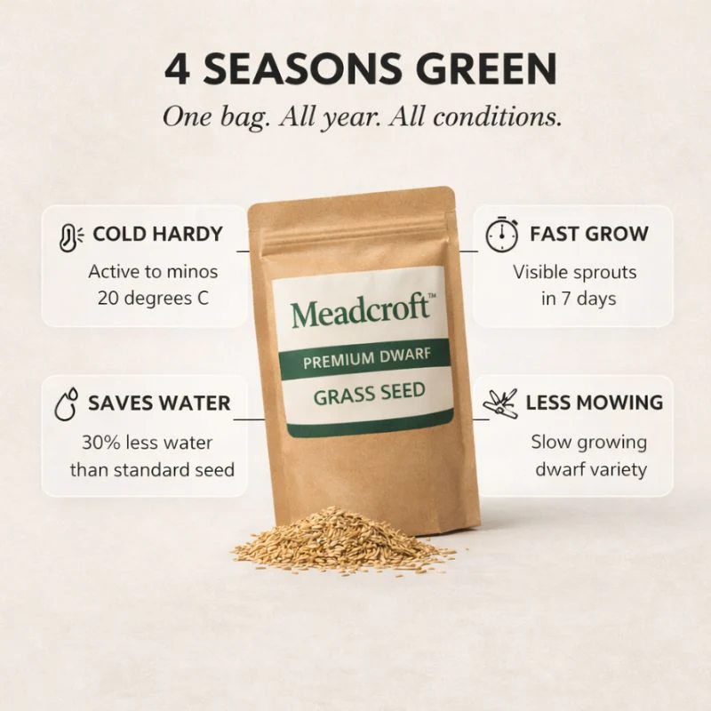 Tillage™ – Four-Season Evergreen, No-Mow, Pet-Friendly Lawn Grass Seeds + 50% OFF - Image 3