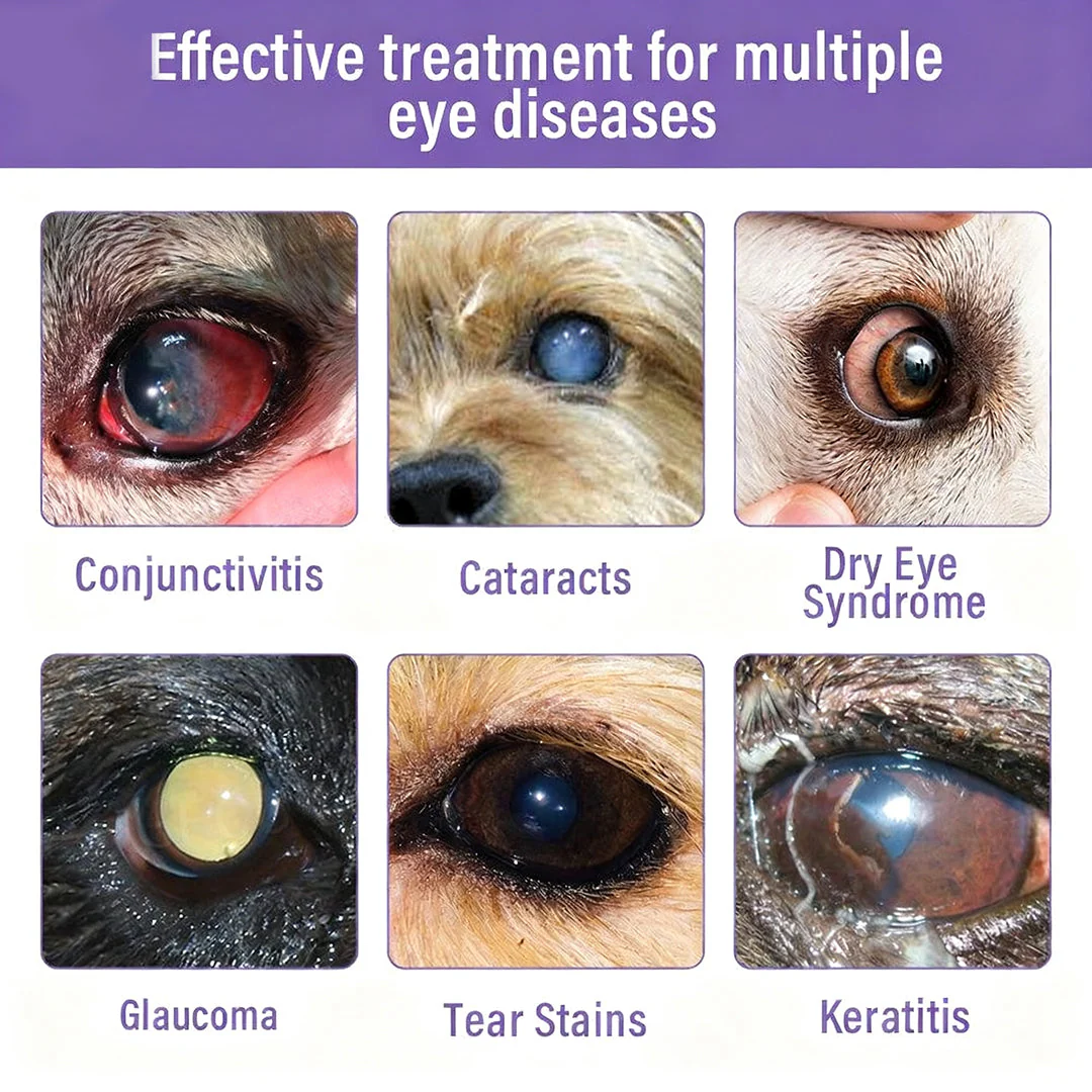 Zakdavi NanoCare - Clear Eyes, Happy Pet + 50% OFF - Image 4
